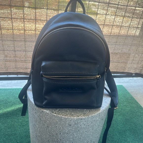 Gently used coach charter backpack 18. Tag missing. - Picture 7 of 14